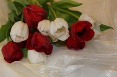 Tulpenstrauß-59.jpg